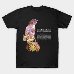 Streaked saltator tropical bird white text T-Shirt